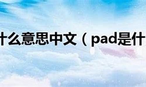 pad是什么意思_pad是什么意思英语